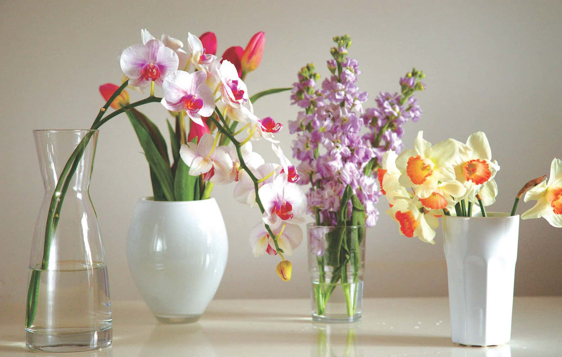 how to take care of fresh flowers: Tips to preserve the cut flowers