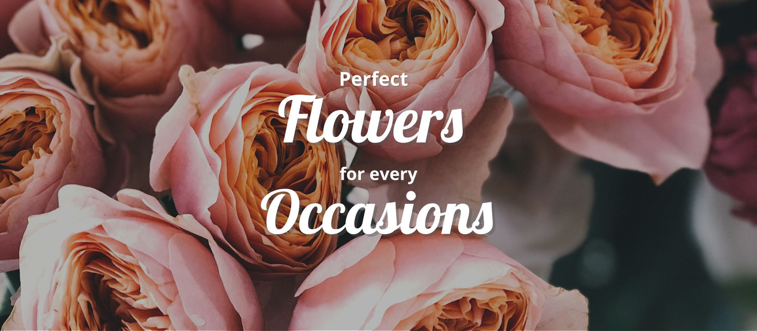 Perfect flowers for every occasion - Dolce E  Fiore